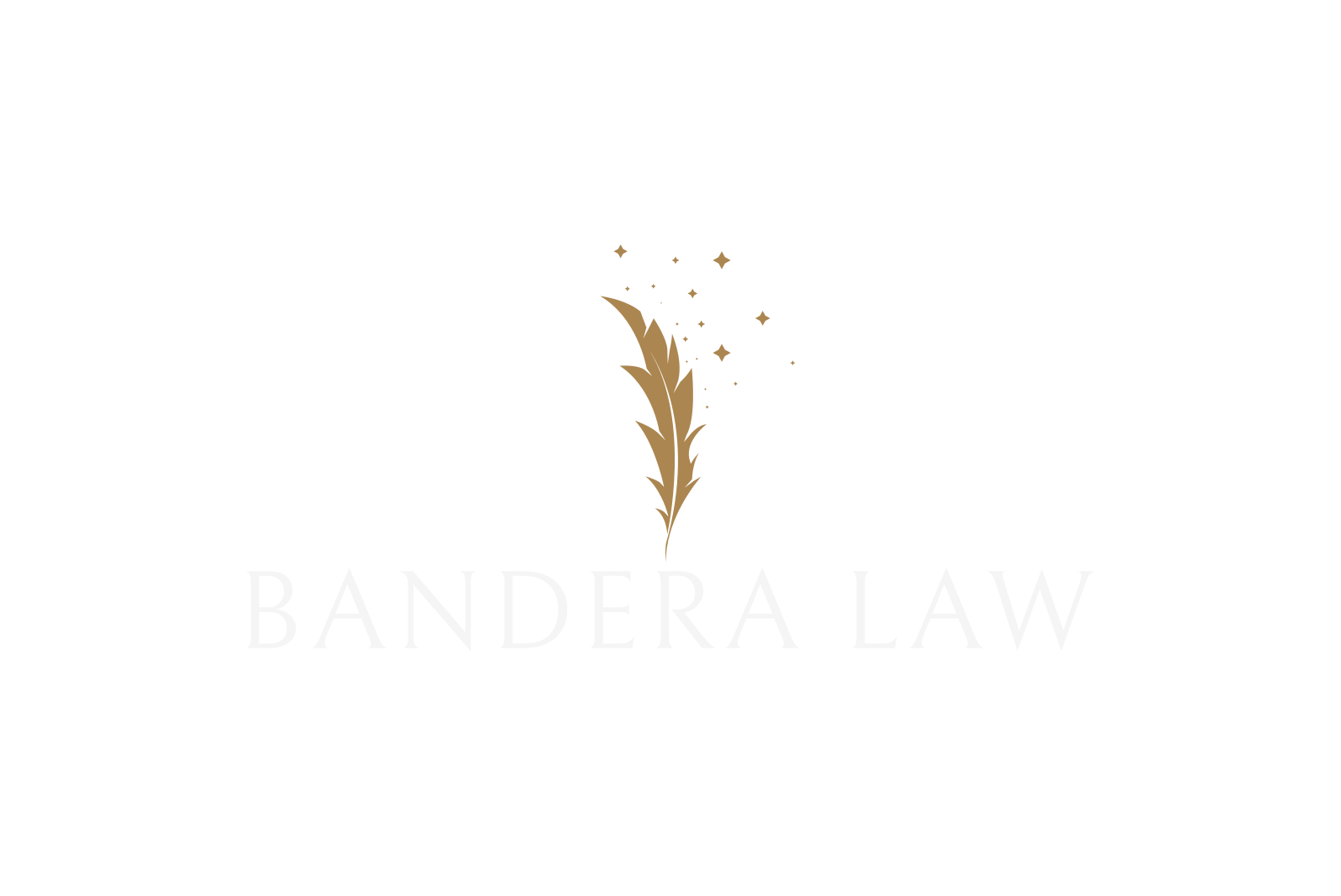 Transparent Logo